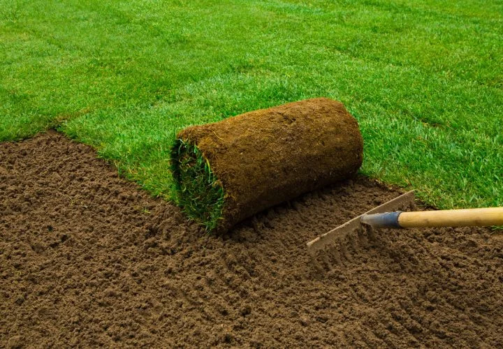 Fresh sod installation close-up by Verdescapes Solutions LLC