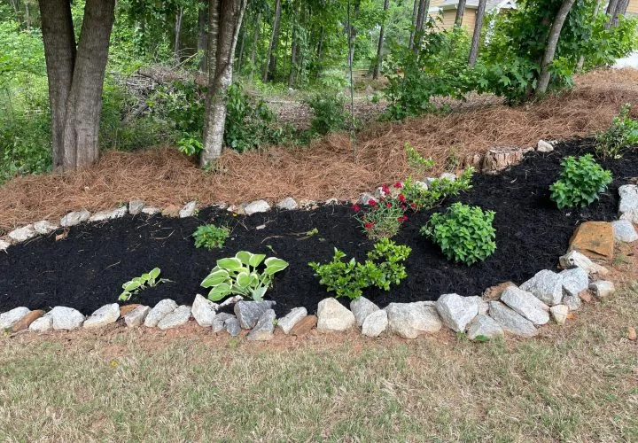 Landscape improvement and yard service project by Verdescapes Solutions LLC