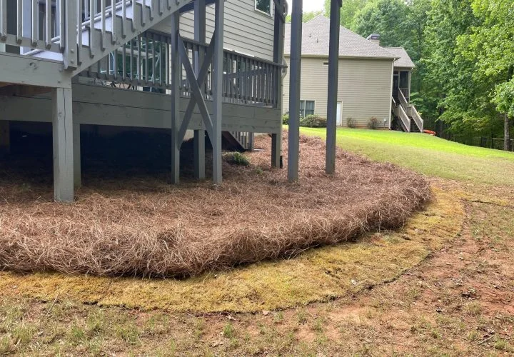 Exterior property care and cleanup service by Verdescapes Solutions in Dallas GA