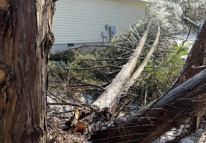 Landscape and hardscape improvement project by Verdescapes Solutions in Dallas GA