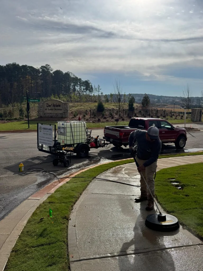 Completed Verdescapes project showing finished result